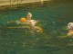 Thumbs/tn_P1150277.jpg